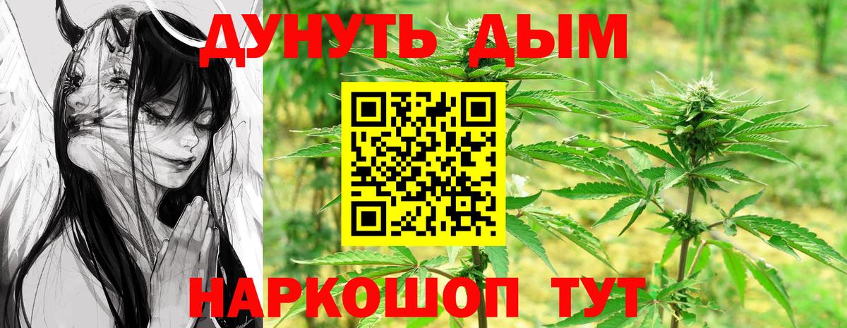 МАРИХУАНА SATIVA & INDICA Кимовск